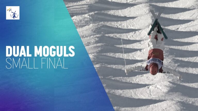 Horishima (JPN) vs McDonald (USA) | Men’s Dual Moguls | Small Final | Alpe d’Huez