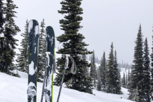 Which skis for your ski instructor or off piste course?